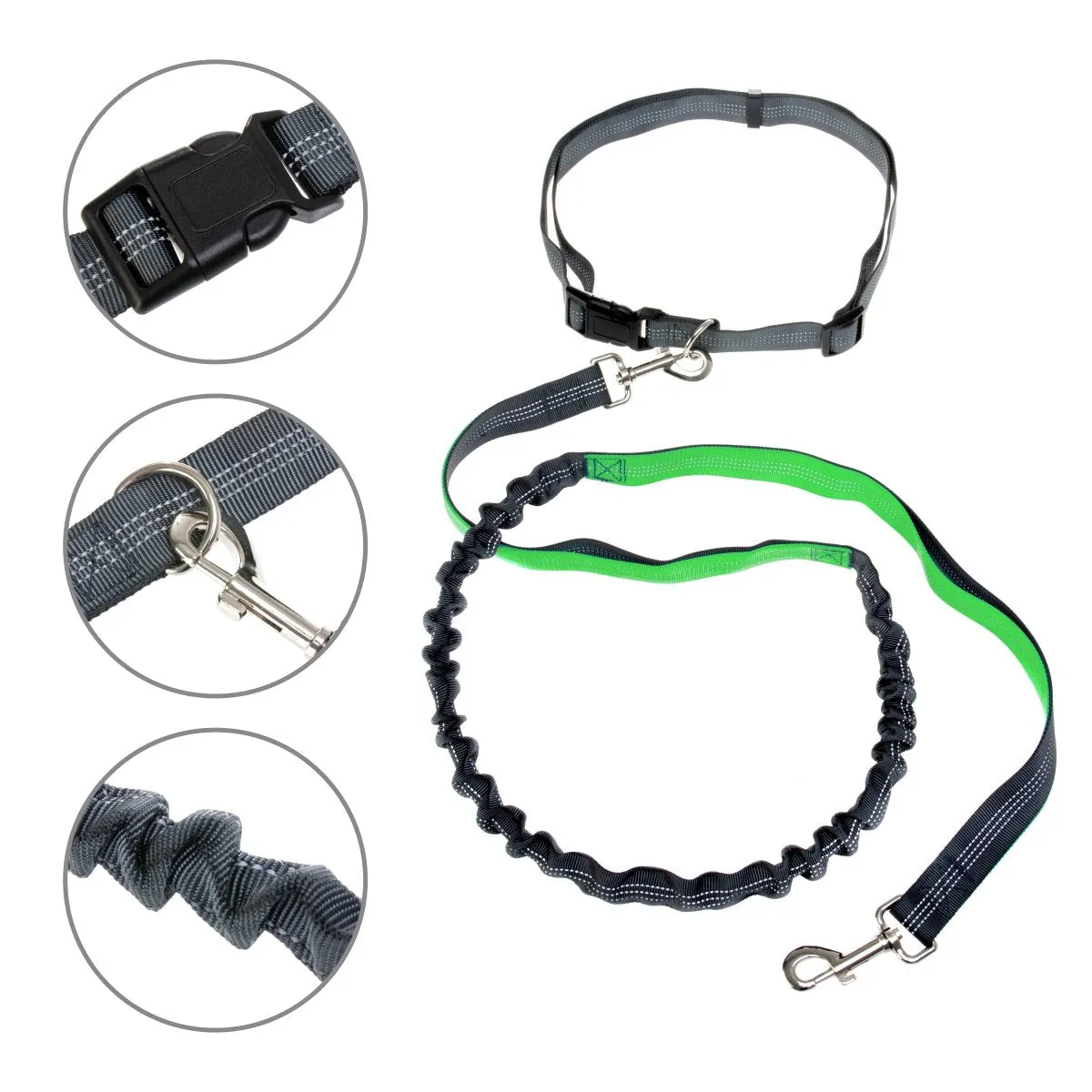 Shock Absorbing Green Two-Handle Dog Leash 4 ft