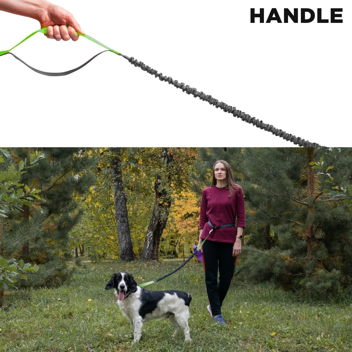 Shock Absorbing Green Two-Handle Dog Leash 4 ft